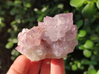 Natural Sunburst Amethyst Single Spirit Quartz Crystals x 12 From Boekenhouthoek, South Africa - Toprock Gemstones and Minerals 