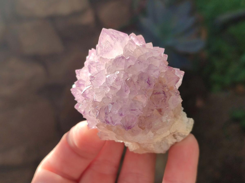 Natural Sunburst Amethyst Single Spirit Quartz Crystals x 12 From Boekenhouthoek, South Africa - Toprock Gemstones and Minerals 