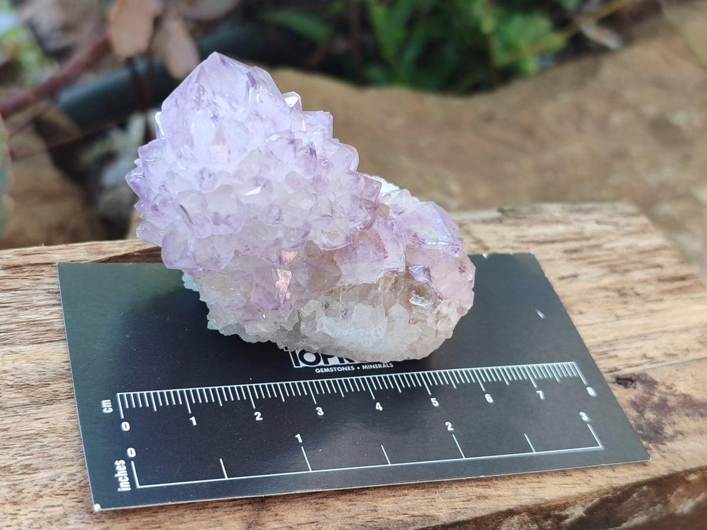 Natural Sunburst Amethyst Single Spirit Quartz Crystals x 12 From Boekenhouthoek, South Africa - Toprock Gemstones and Minerals 
