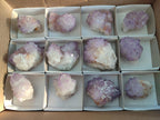 Natural Sunburst Amethyst Single Spirit Quartz Crystals x 12 From Boekenhouthoek, South Africa - Toprock Gemstones and Minerals 