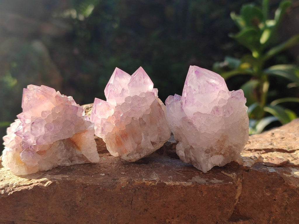 Natural Sunburst Amethyst Single Spirit Quartz Crystals x 12 From Boekenhouthoek, South Africa - Toprock Gemstones and Minerals 
