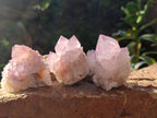 Natural Sunburst Amethyst Single Spirit Quartz Crystals x 12 From Boekenhouthoek, South Africa - Toprock Gemstones and Minerals 