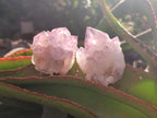 Natural Sunburst Amethyst Single Spirit Quartz Crystals x 12 From Boekenhouthoek, South Africa - Toprock Gemstones and Minerals 