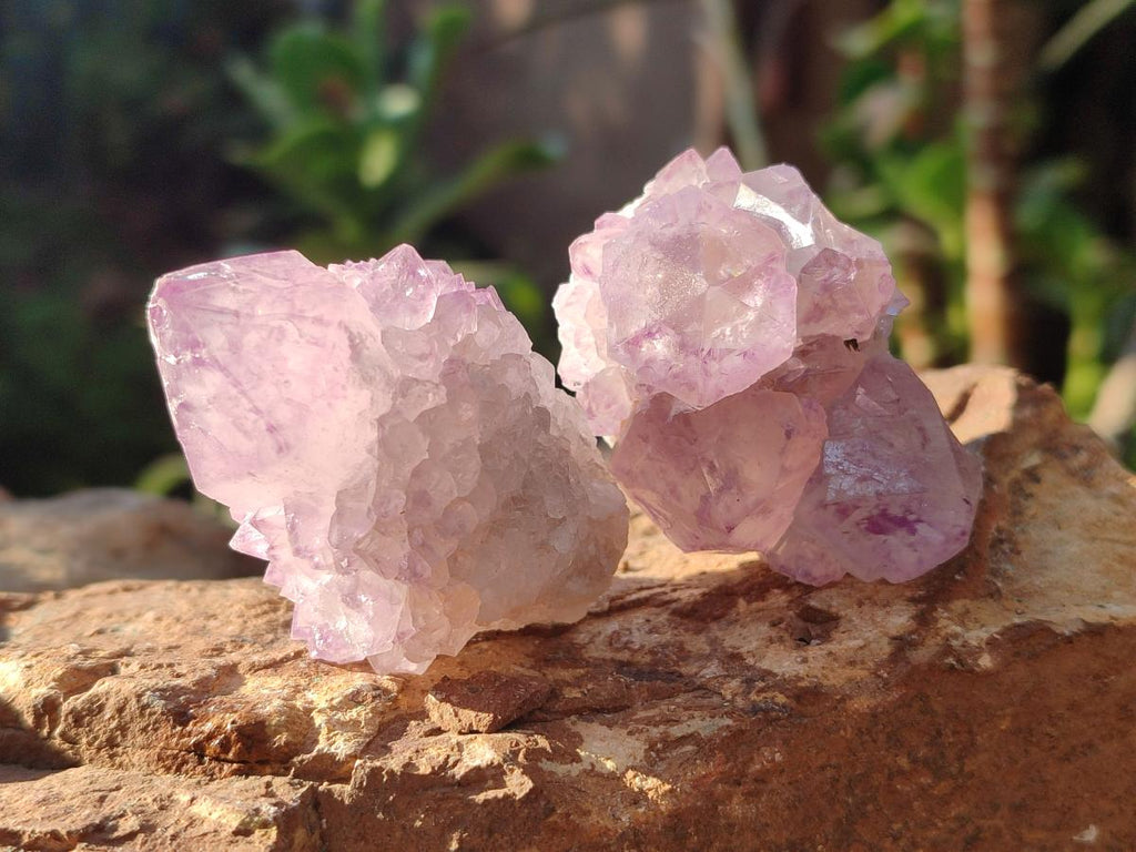 Natural Sunburst Amethyst Single Spirit Quartz Crystals x 12 From Boekenhouthoek, South Africa - Toprock Gemstones and Minerals 