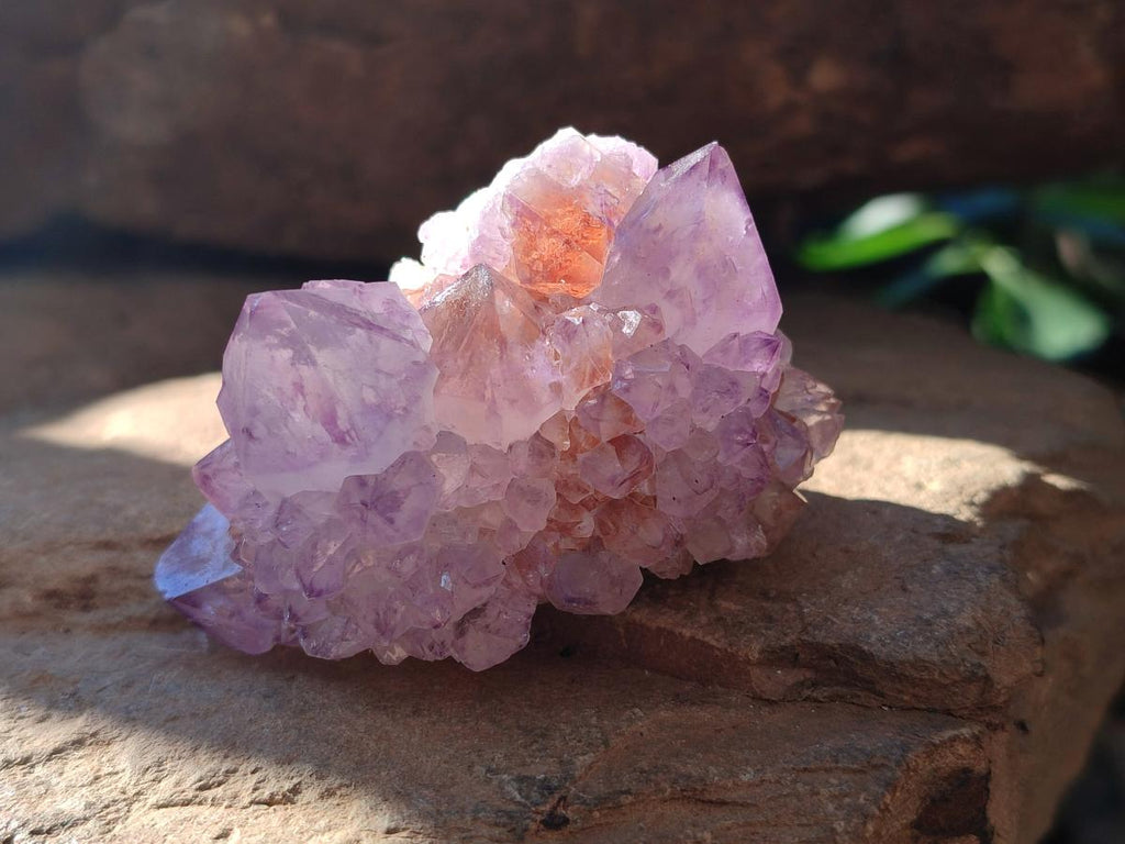 Natural Sunburst Amethyst Single Spirit Quartz Crystals x 12 From Boekenhouthoek, South Africa - Toprock Gemstones and Minerals 