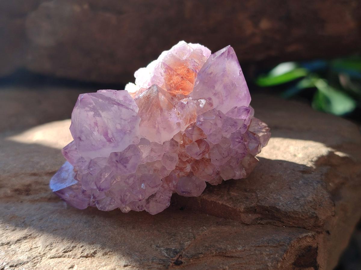 Natural Sunburst Amethyst Single Spirit Quartz Crystals x 12 From Boekenhouthoek, South Africa - Toprock Gemstones and Minerals 
