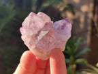 Natural Sunburst Amethyst Single Spirit Quartz Crystals x 12 From Boekenhouthoek, South Africa - Toprock Gemstones and Minerals 