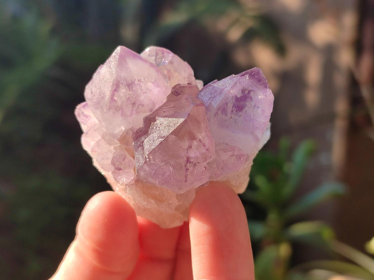 Natural Sunburst Amethyst Single Spirit Quartz Crystals x 12 From Boekenhouthoek, South Africa - Toprock Gemstones and Minerals 
