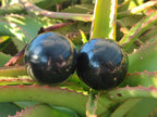 Polished Black Basalt Spheres x 12 From Madagascar - Toprock Gemstones and Minerals 