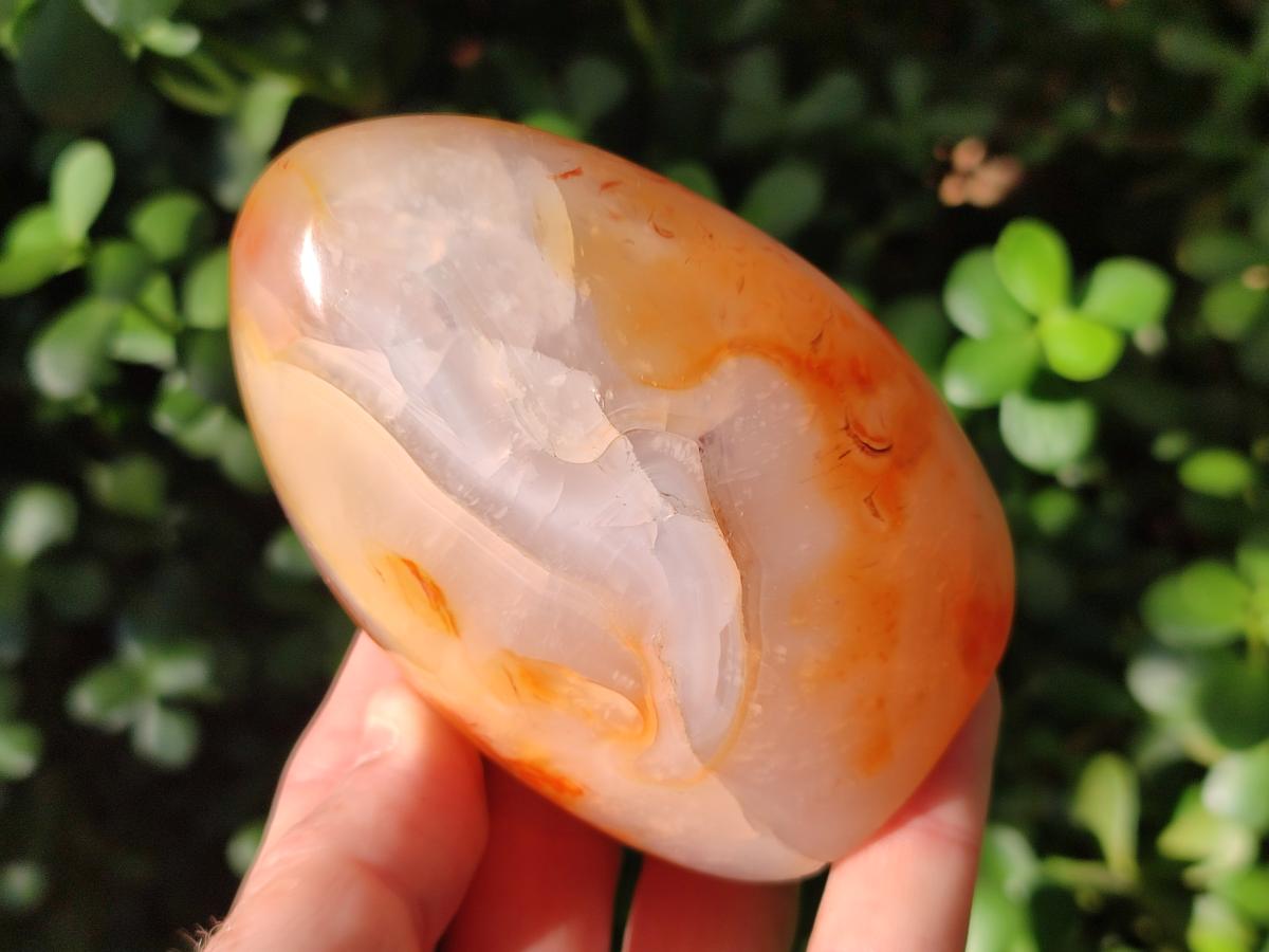 Polished Carnelian Agate Gemstone Standing Free Forms x 4 From Madagascar - Toprock Gemstones and Minerals 