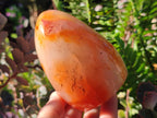 Polished Carnelian Agate Gemstone Standing Free Forms x 4 From Madagascar - Toprock Gemstones and Minerals 