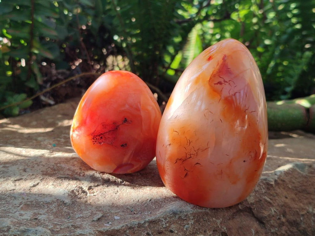 Polished Carnelian Agate Gemstone Standing Free Forms x 4 From Madagascar - Toprock Gemstones and Minerals 