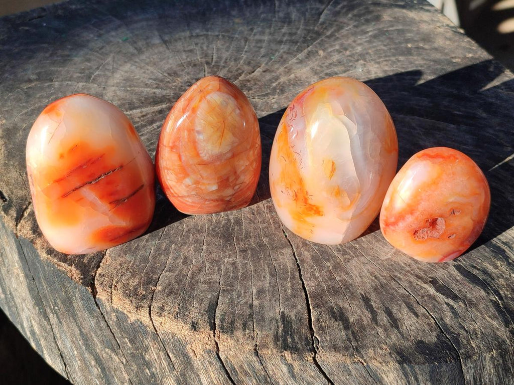 Polished Carnelian Agate Gemstone Standing Free Forms x 4 From Madagascar - Toprock Gemstones and Minerals 