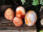 Polished Carnelian Agate Gemstone Standing Free Forms x 4 From Madagascar - Toprock Gemstones and Minerals 