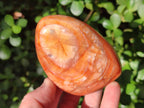 Polished Carnelian Agate Gemstone Standing Free Forms x 4 From Madagascar - Toprock Gemstones and Minerals 