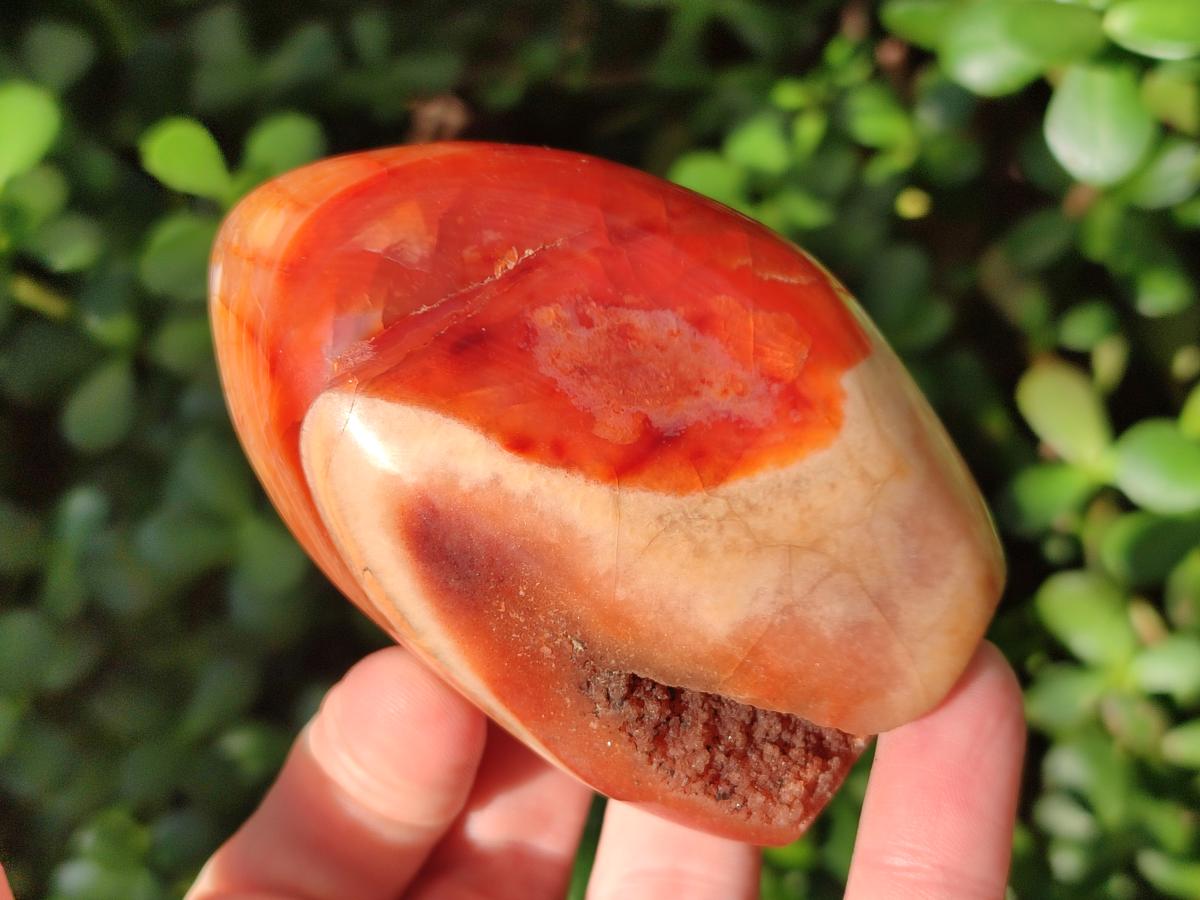 Polished Carnelian Agate Gemstone Standing Free Forms x 4 From Madagascar - Toprock Gemstones and Minerals 