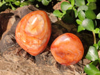Polished Carnelian Agate Gemstone Standing Free Forms x 4 From Madagascar - Toprock Gemstones and Minerals 