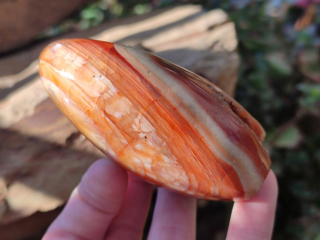 Polished Carnelian Agate Gemstone Standing Free Forms x 4 From Madagascar - Toprock Gemstones and Minerals 
