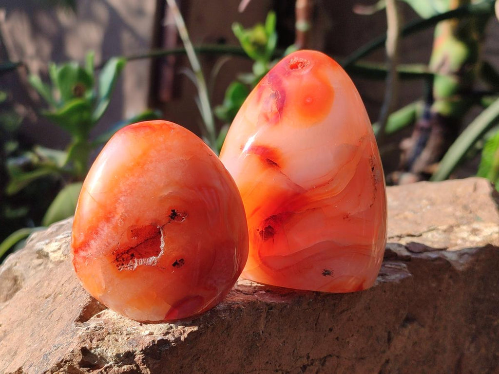 Polished Carnelian Agate Gemstone Standing Free Forms x 4 From Madagascar - Toprock Gemstones and Minerals 
