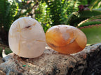 Polished Flower Agate Palm Stones x 12 From Antsahalova, Madagascar - Toprock Gemstones and Minerals 