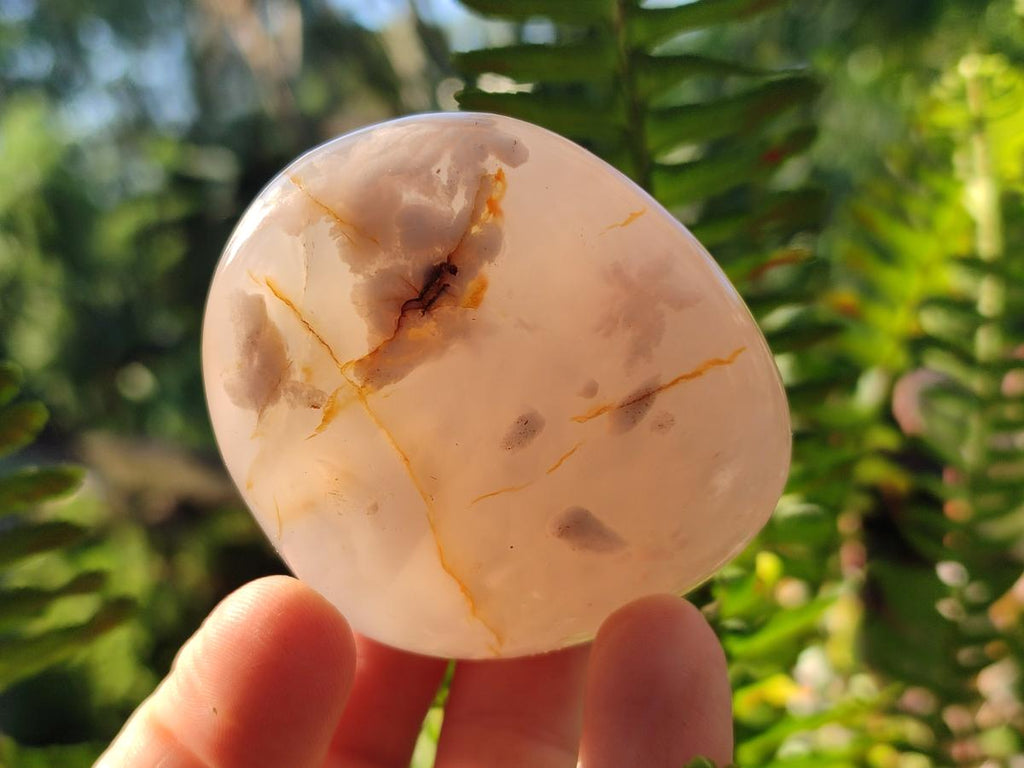 Polished Flower Agate Palm Stones x 12 From Antsahalova, Madagascar - Toprock Gemstones and Minerals 