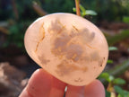 Polished Flower Agate Palm Stones x 12 From Antsahalova, Madagascar - Toprock Gemstones and Minerals 
