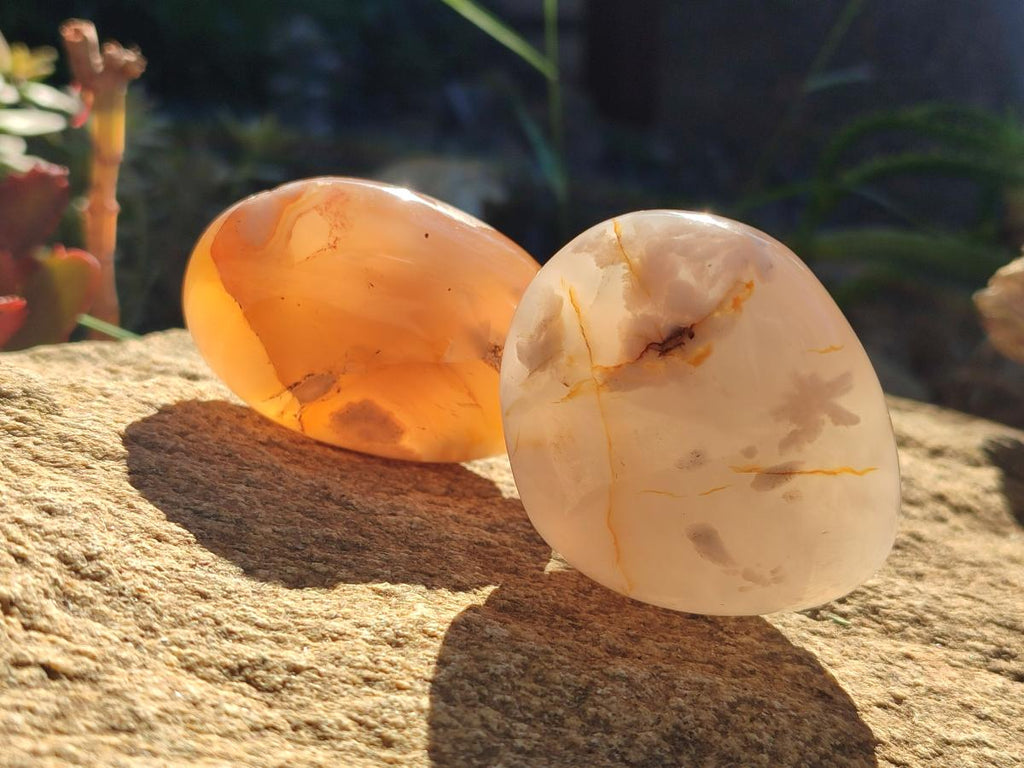 Polished Flower Agate Palm Stones x 12 From Antsahalova, Madagascar - Toprock Gemstones and Minerals 