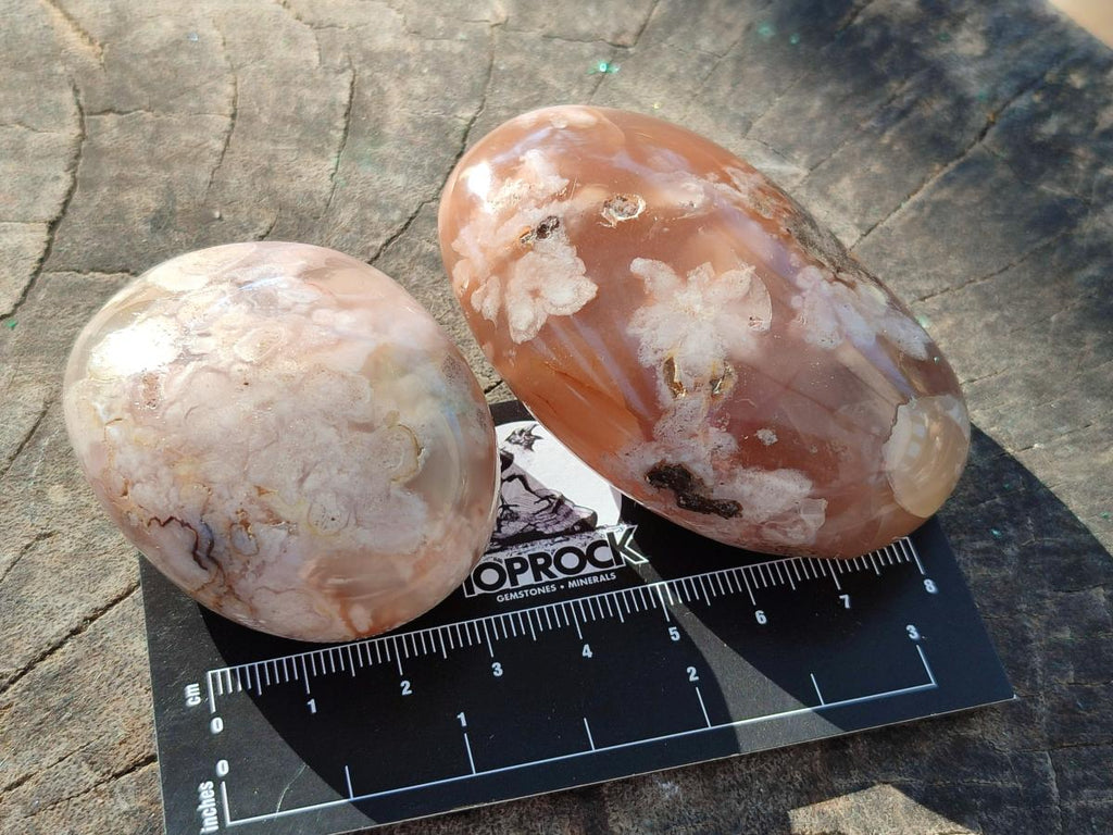 Polished Flower Agate Palm Stones x 12 From Antsahalova, Madagascar - Toprock Gemstones and Minerals 