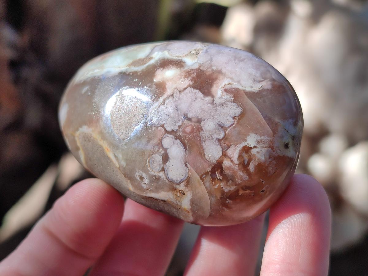 Polished Flower Agate Palm Stones x 12 From Antsahalova, Madagascar - Toprock Gemstones and Minerals 
