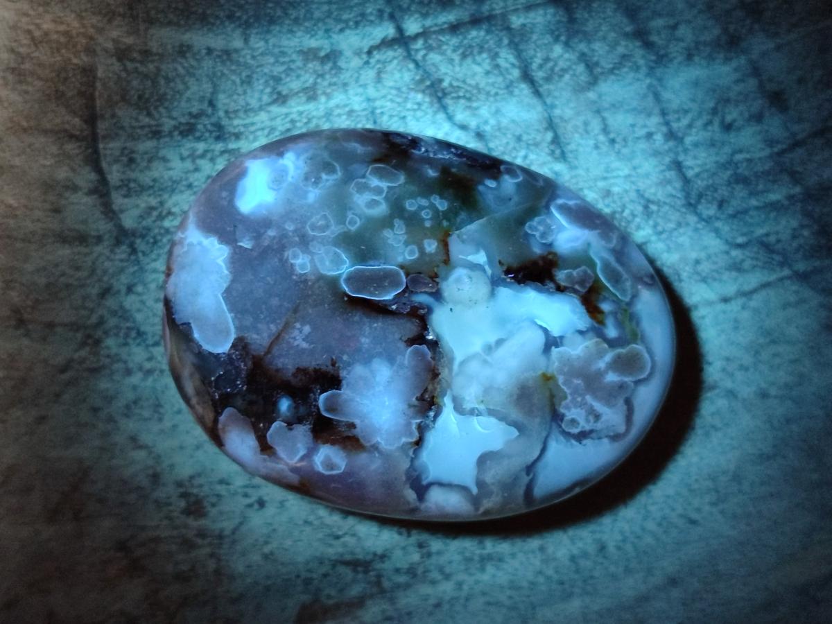 Polished Flower Agate Palm Stones x 12 From Antsahalova, Madagascar - Toprock Gemstones and Minerals 
