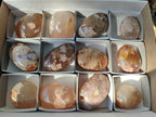 Polished Flower Agate Palm Stones x 12 From Antsahalova, Madagascar - Toprock Gemstones and Minerals 