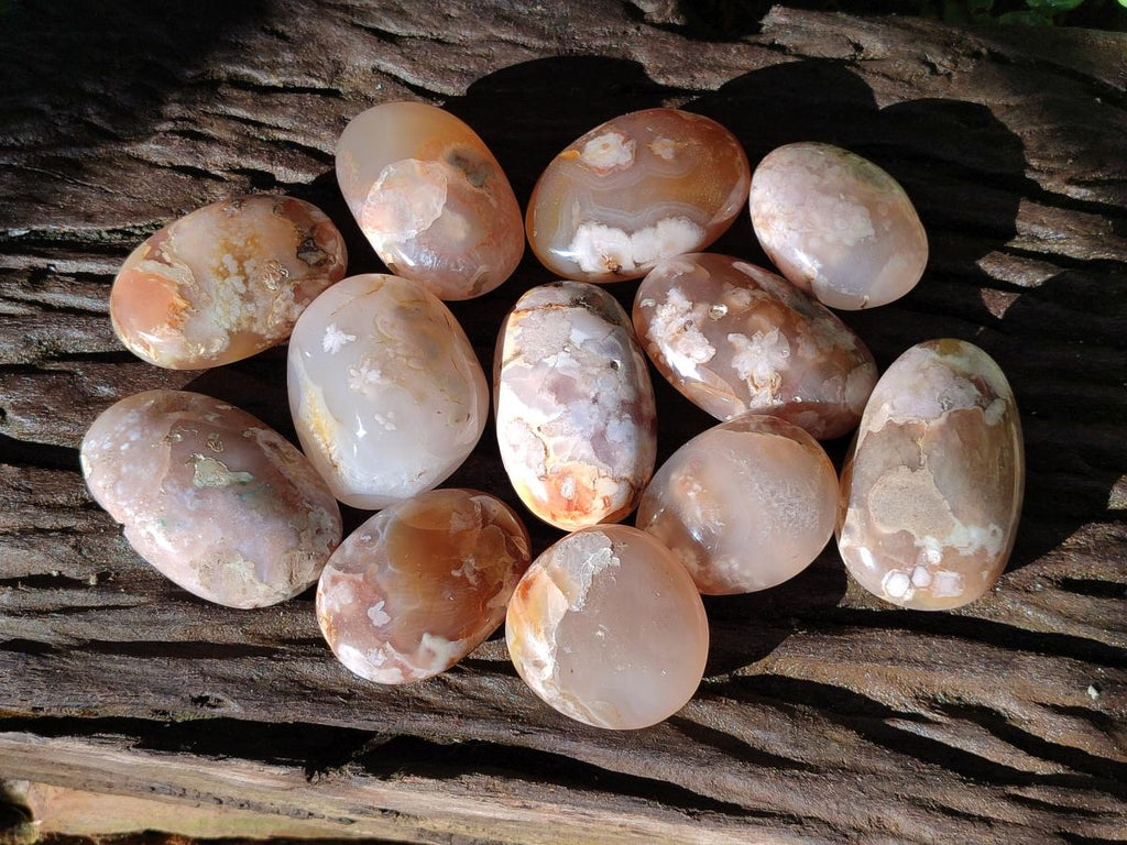 Polished Flower Agate Palm Stones x 12 From Antsahalova, Madagascar - Toprock Gemstones and Minerals 