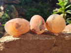 Polished Flower Agate Palm Stones x 12 From Antsahalova, Madagascar - Toprock Gemstones and Minerals 