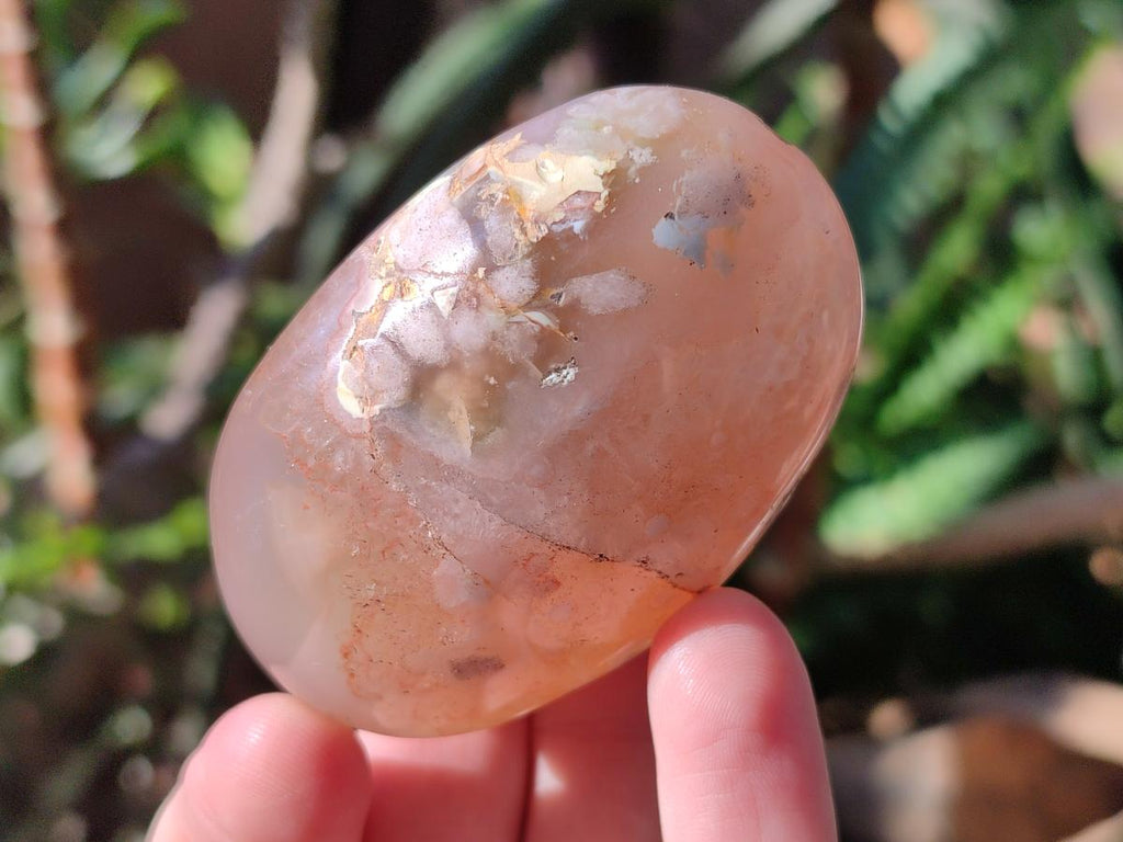 Polished Flower Agate Palm Stones x 12 From Antsahalova, Madagascar - Toprock Gemstones and Minerals 