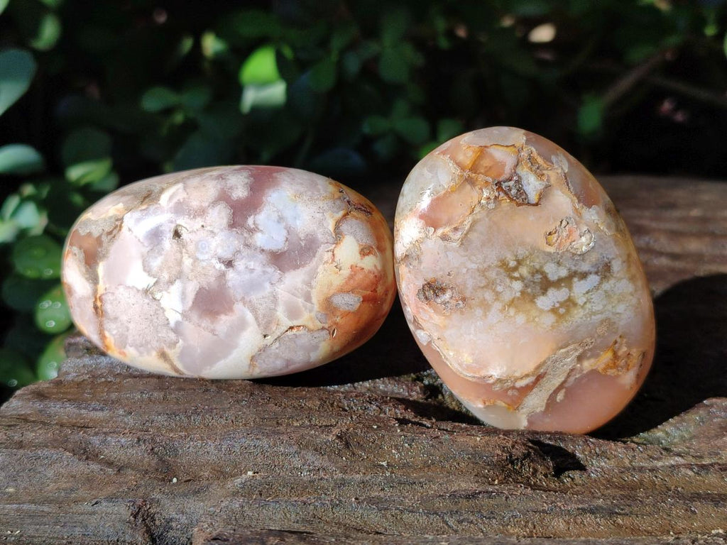 Polished Flower Agate Palm Stones x 12 From Antsahalova, Madagascar - Toprock Gemstones and Minerals 