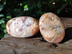 Polished Flower Agate Palm Stones x 12 From Antsahalova, Madagascar - Toprock Gemstones and Minerals 