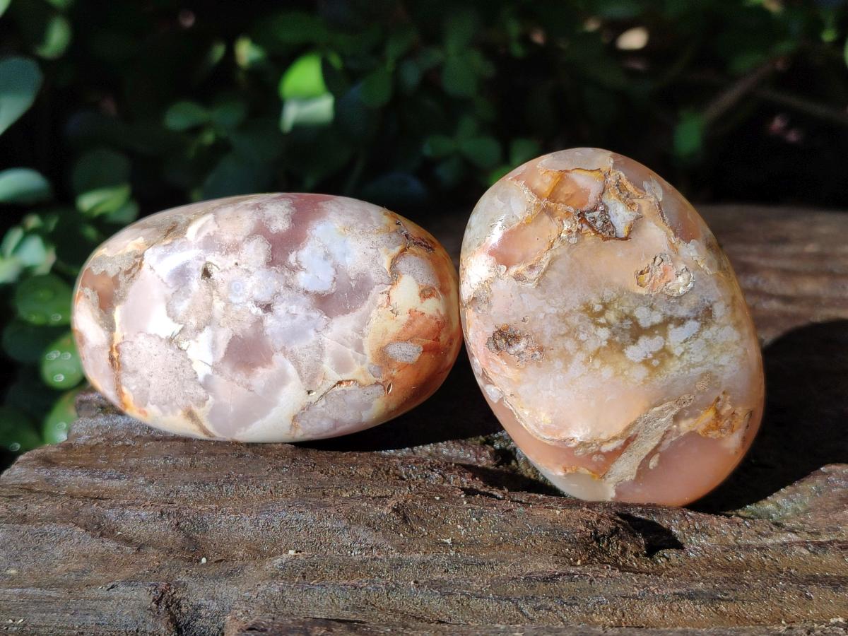 Polished Flower Agate Palm Stones x 12 From Antsahalova, Madagascar - Toprock Gemstones and Minerals 