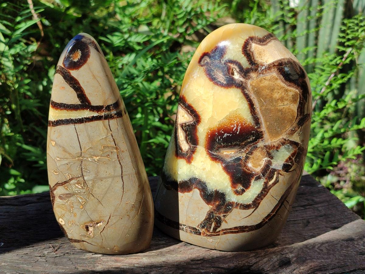 Polished Septerye Standing Free Forms x 2 From Mahajanga, Madagascar - Toprock Gemstones and Minerals 