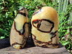Polished Septerye Standing Free Forms x 2 From Mahajanga, Madagascar - Toprock Gemstones and Minerals 