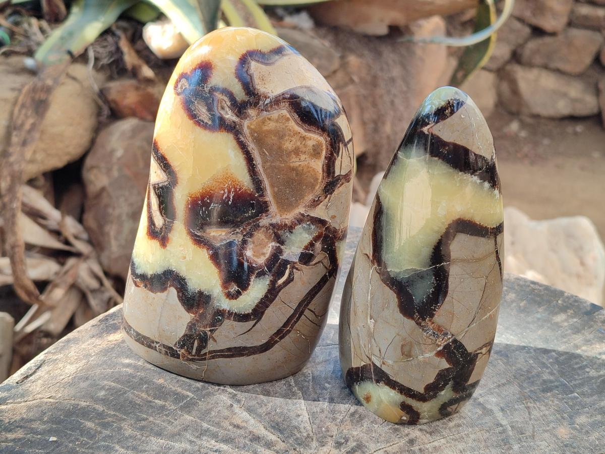 Polished Septerye Standing Free Forms x 2 From Mahajanga, Madagascar - Toprock Gemstones and Minerals 