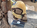 Polished Septerye Standing Free Forms x 2 From Mahajanga, Madagascar - Toprock Gemstones and Minerals 