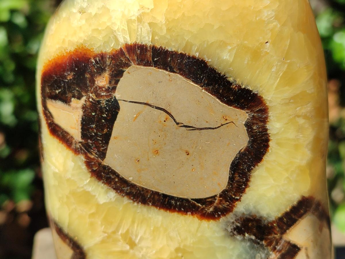 Polished Septerye Standing Free Forms x 2 From Mahajanga, Madagascar - Toprock Gemstones and Minerals 