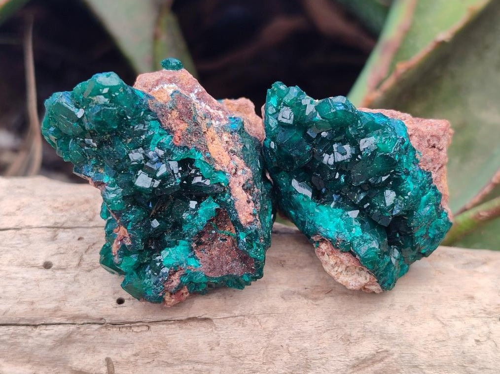 Natural Dioptase on Dolomite Clusters Specimens x 12 From Likasi, Congo - Toprock Gemstones and Minerals 