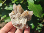 Natural Fairy Spirit Quartz Clusters x 12 From Boekenhouthoek, South Africa - Toprock Gemstones and Minerals 