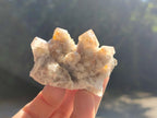 Natural Fairy Spirit Quartz Clusters x 12 From Boekenhouthoek, South Africa - Toprock Gemstones and Minerals 