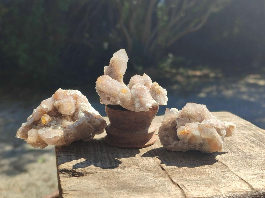 Natural Fairy Spirit Quartz Clusters x 12 From Boekenhouthoek, South Africa - Toprock Gemstones and Minerals 