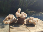 Natural Fairy Spirit Quartz Clusters x 12 From Boekenhouthoek, South Africa - Toprock Gemstones and Minerals 