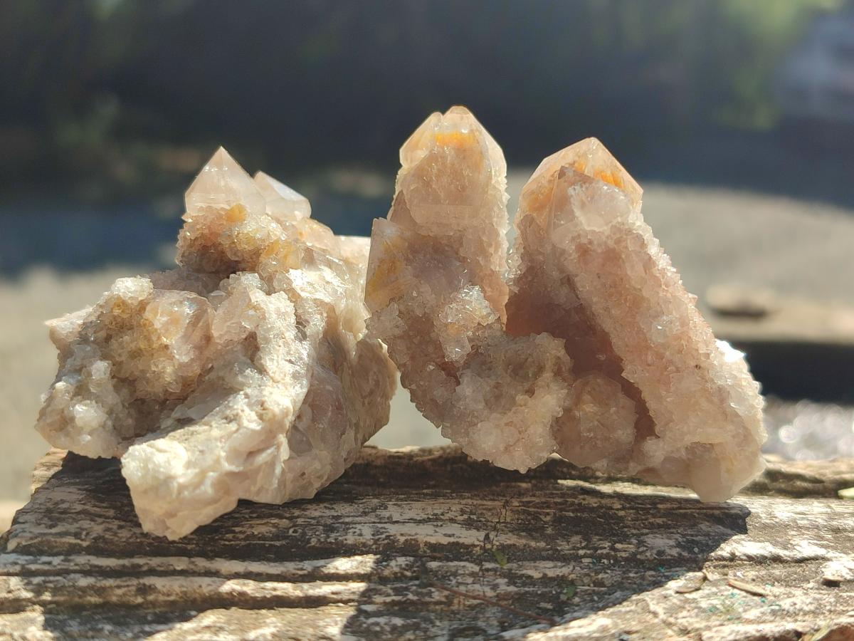 Natural Fairy Spirit Quartz Clusters x 12 From Boekenhouthoek, South Africa - Toprock Gemstones and Minerals 