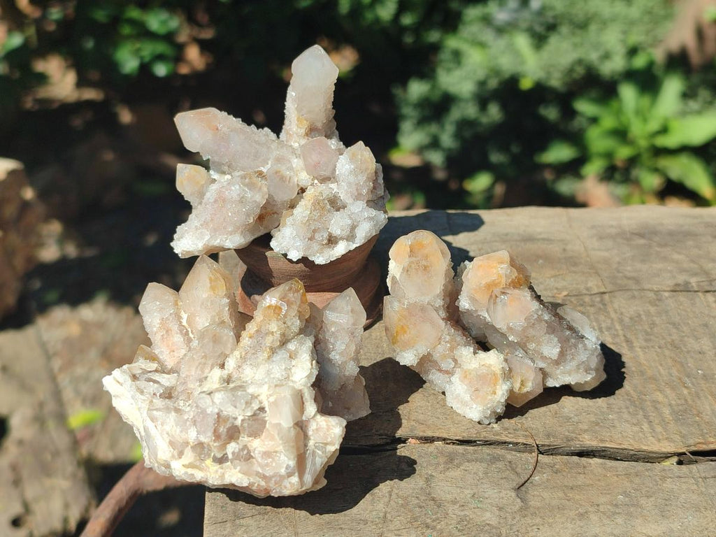 Natural Fairy Spirit Quartz Clusters x 12 From Boekenhouthoek, South Africa - Toprock Gemstones and Minerals 