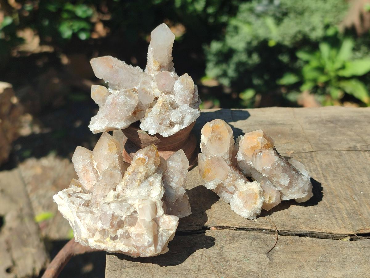 Natural Fairy Spirit Quartz Clusters x 12 From Boekenhouthoek, South Africa - Toprock Gemstones and Minerals 